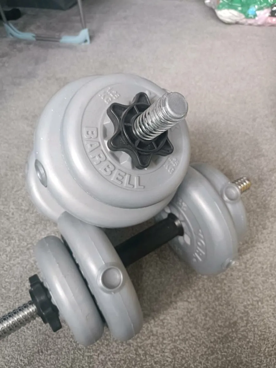 Home weights - Image 1