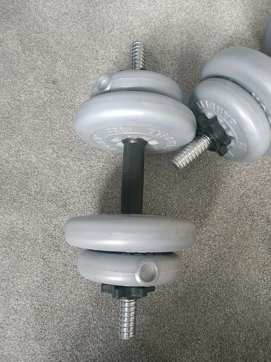Home weights - Image 2