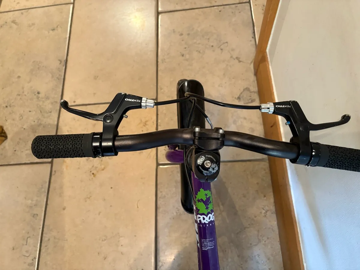 Frog 48 bike - Image 4