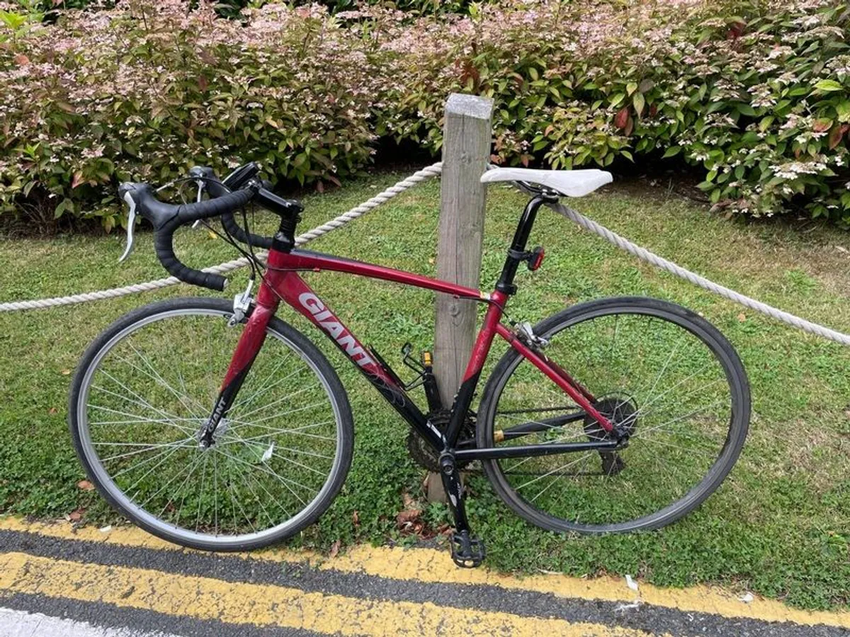 Perfect bike for a ride and for conmuting - Image 1