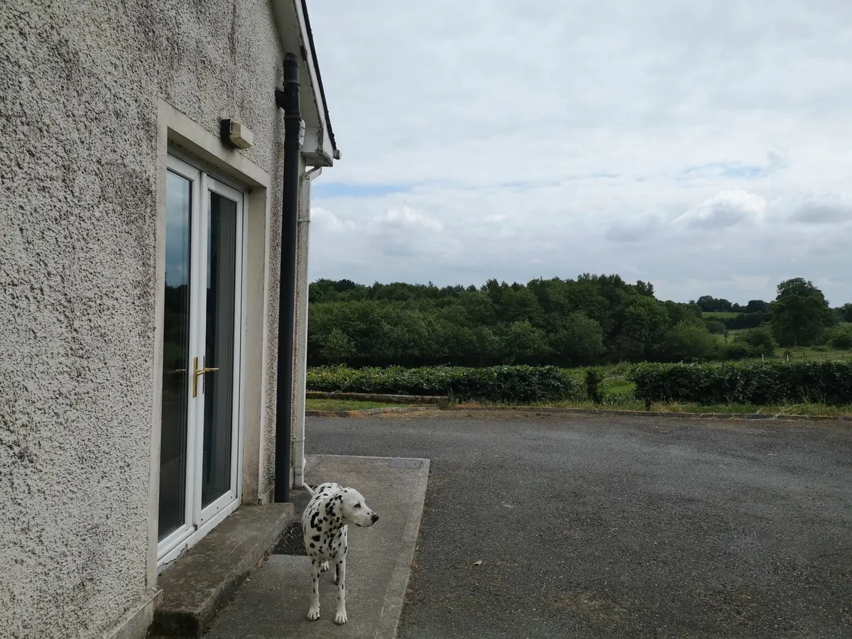 Flat to Let in the country - Image 3