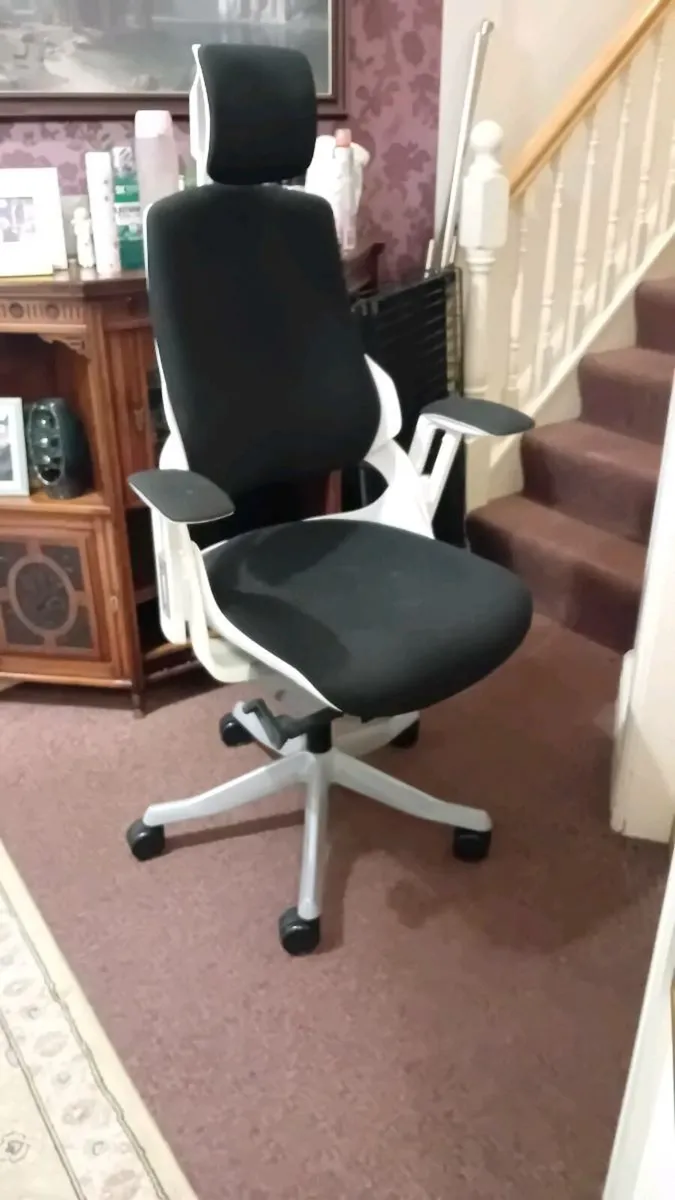 Merryfair Wau Ergonomic Office Chair - Image 1