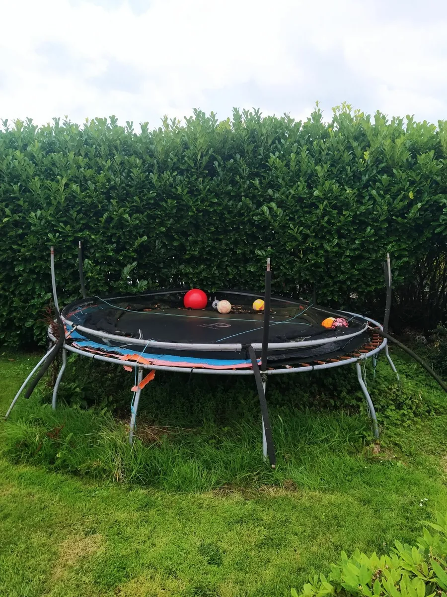 Trampoline
