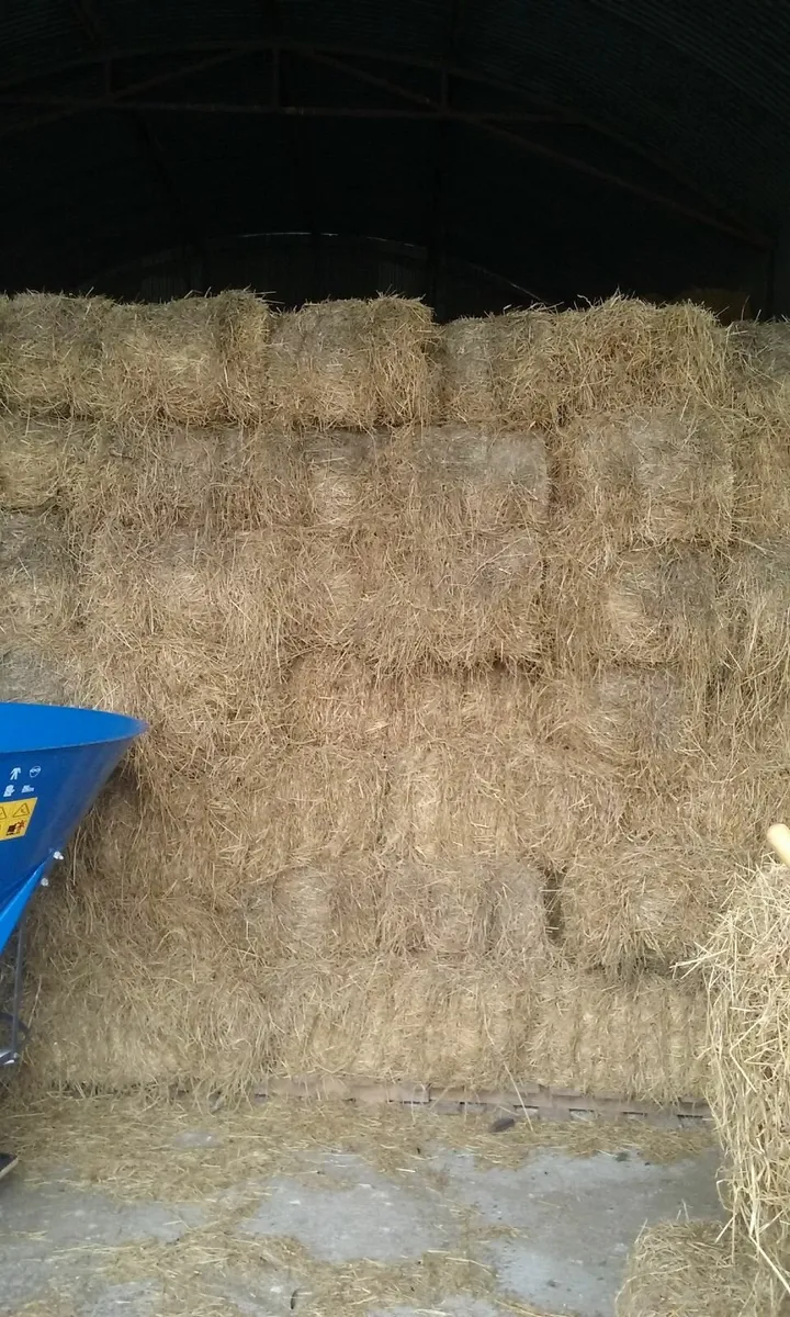 Hay