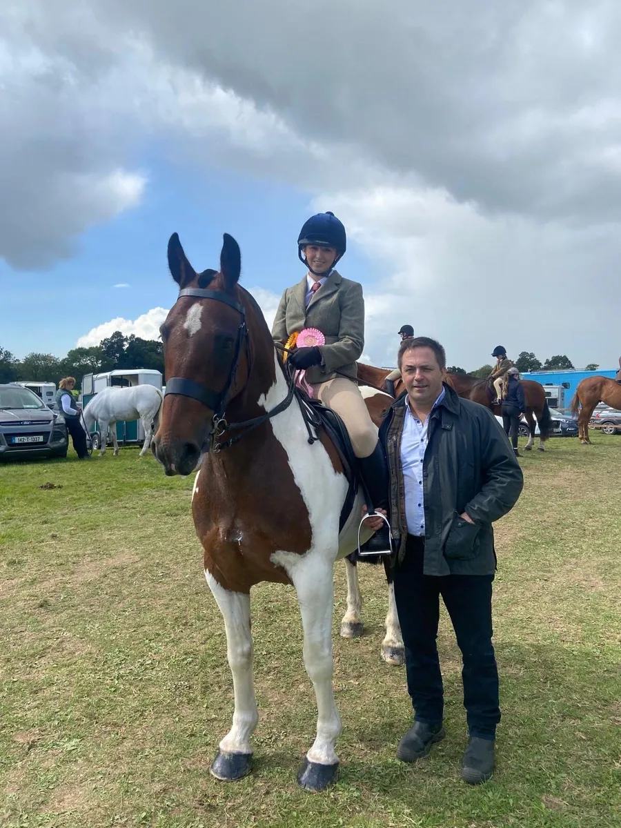 7yo cob - Image 3