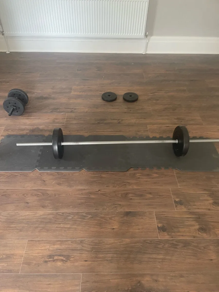 Gym - Image 2