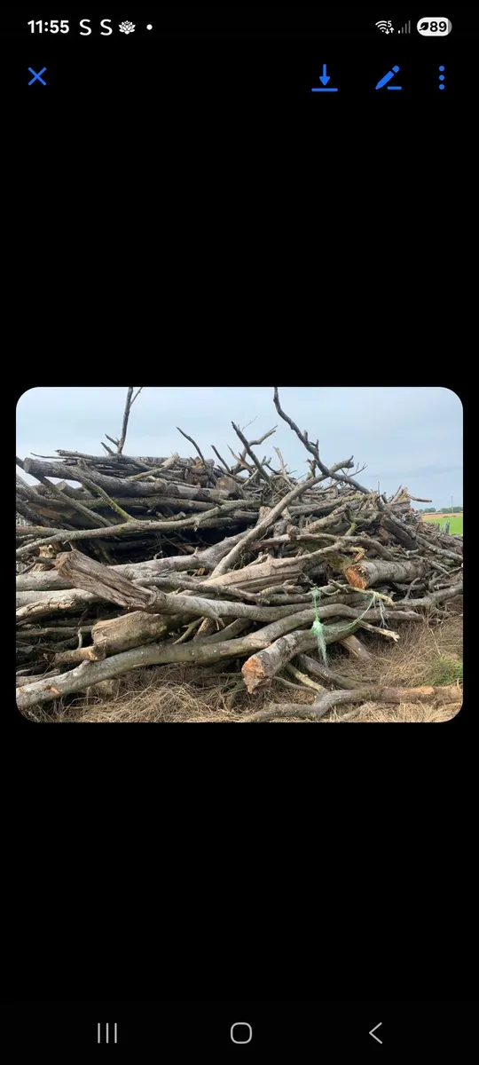 Timber for sale - Image 1