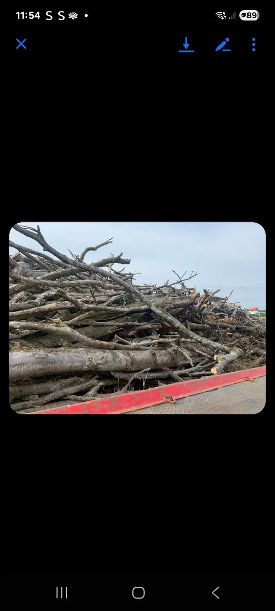 Timber for sale - Image 3