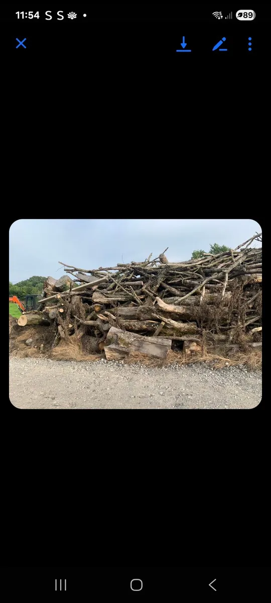 Timber for sale - Image 4
