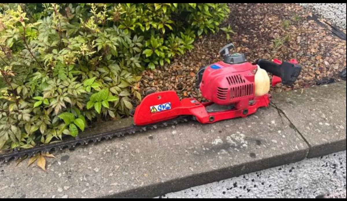 Hedgetrimmer - Image 1