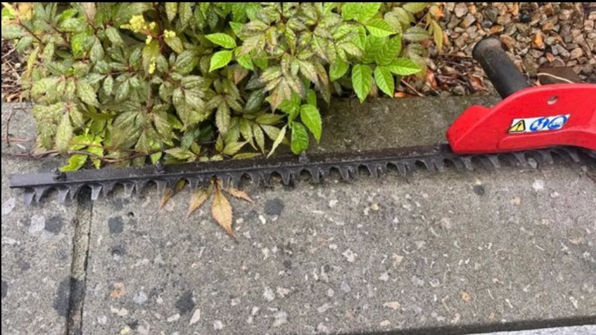 Hedgetrimmer - Image 3