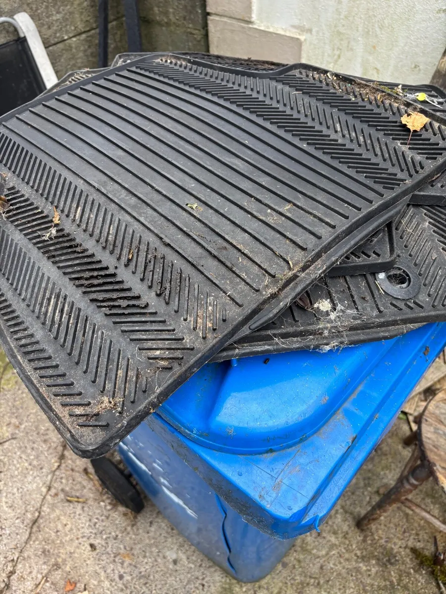 Floor Mats - Image 1