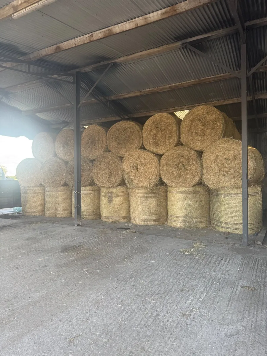 Hay