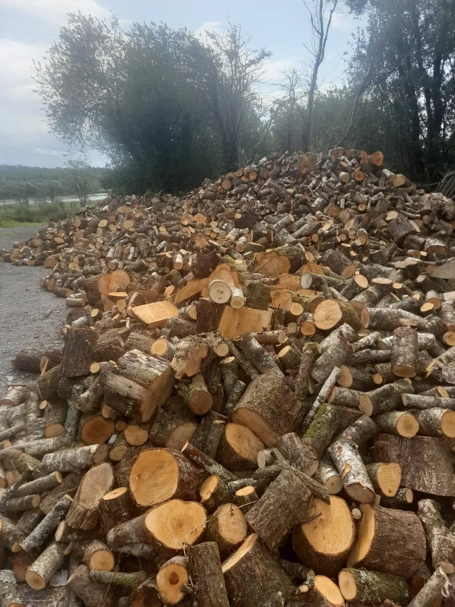 Firewood - Image 2