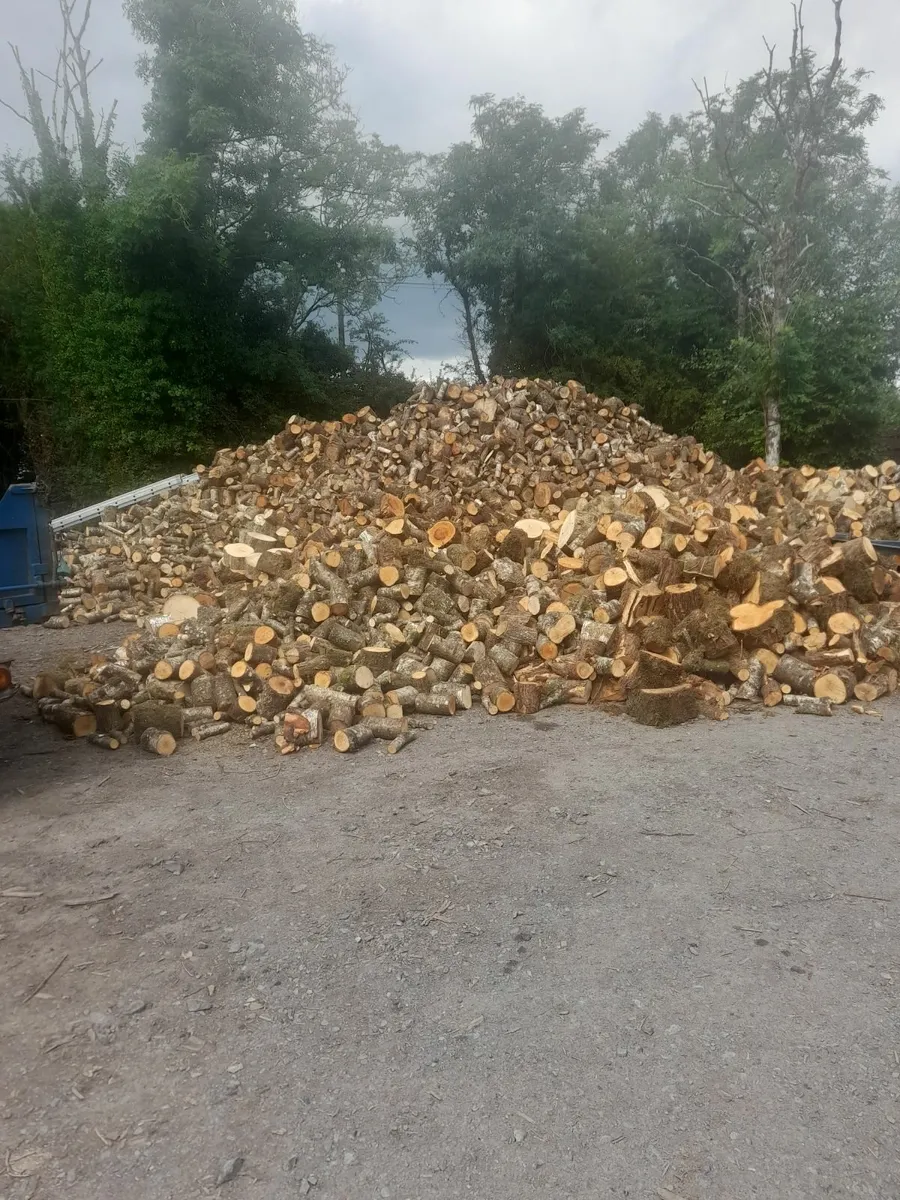 Firewood - Image 3