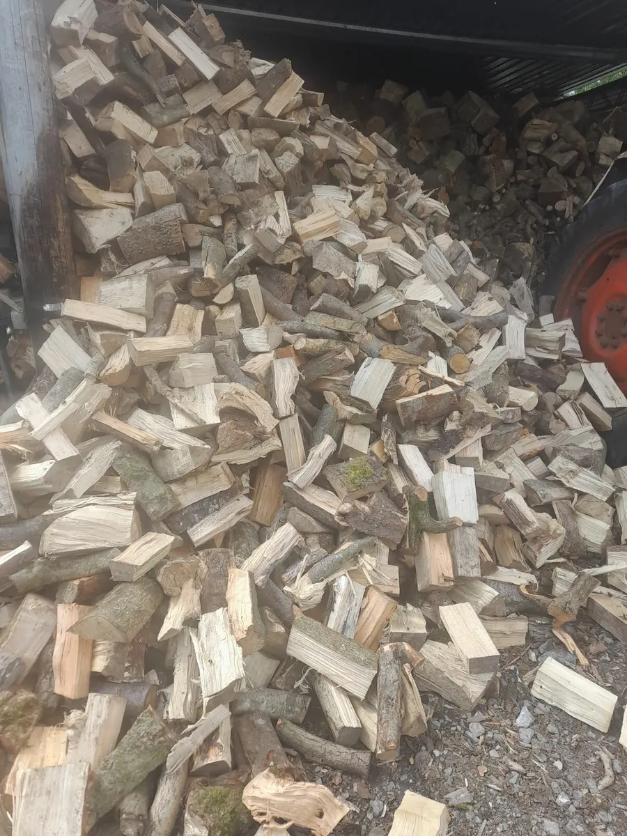Firewood - Image 4