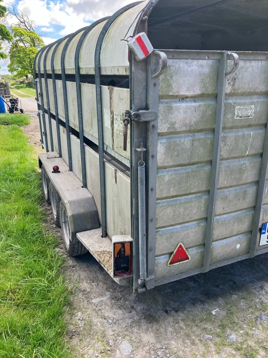 14x6 Nugent Cattle trailer - Image 1