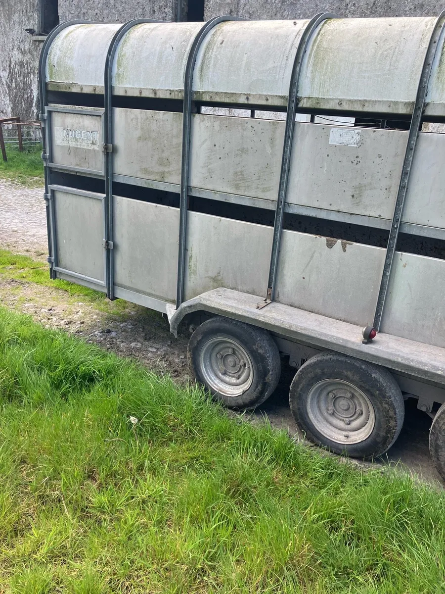 14x6 Nugent Cattle trailer - Image 2