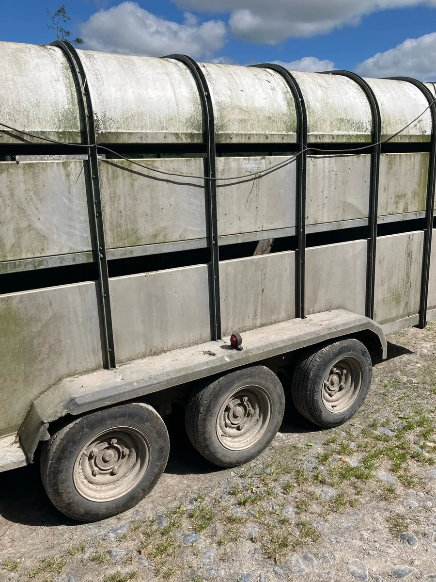 14x6 Nugent Cattle trailer - Image 4