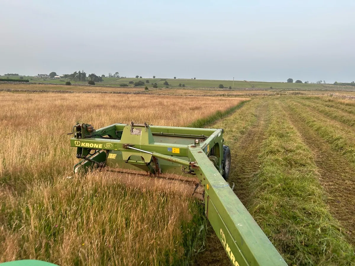 Haylage - Image 2