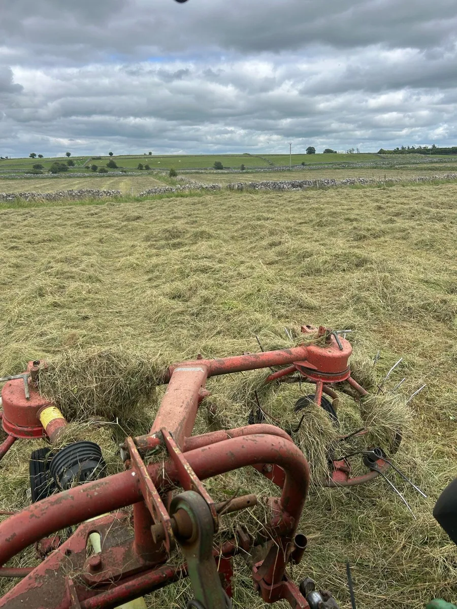 Haylage - Image 3