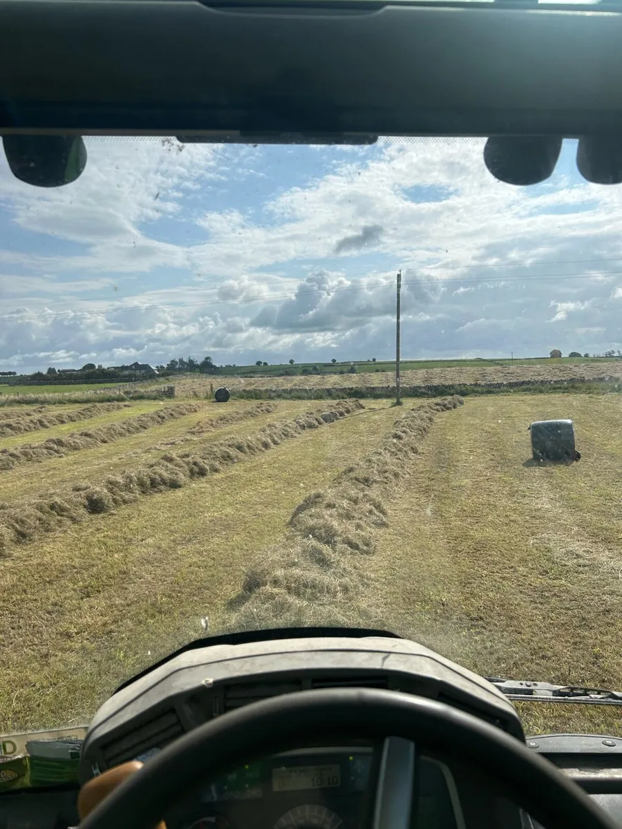 Haylage - Image 4