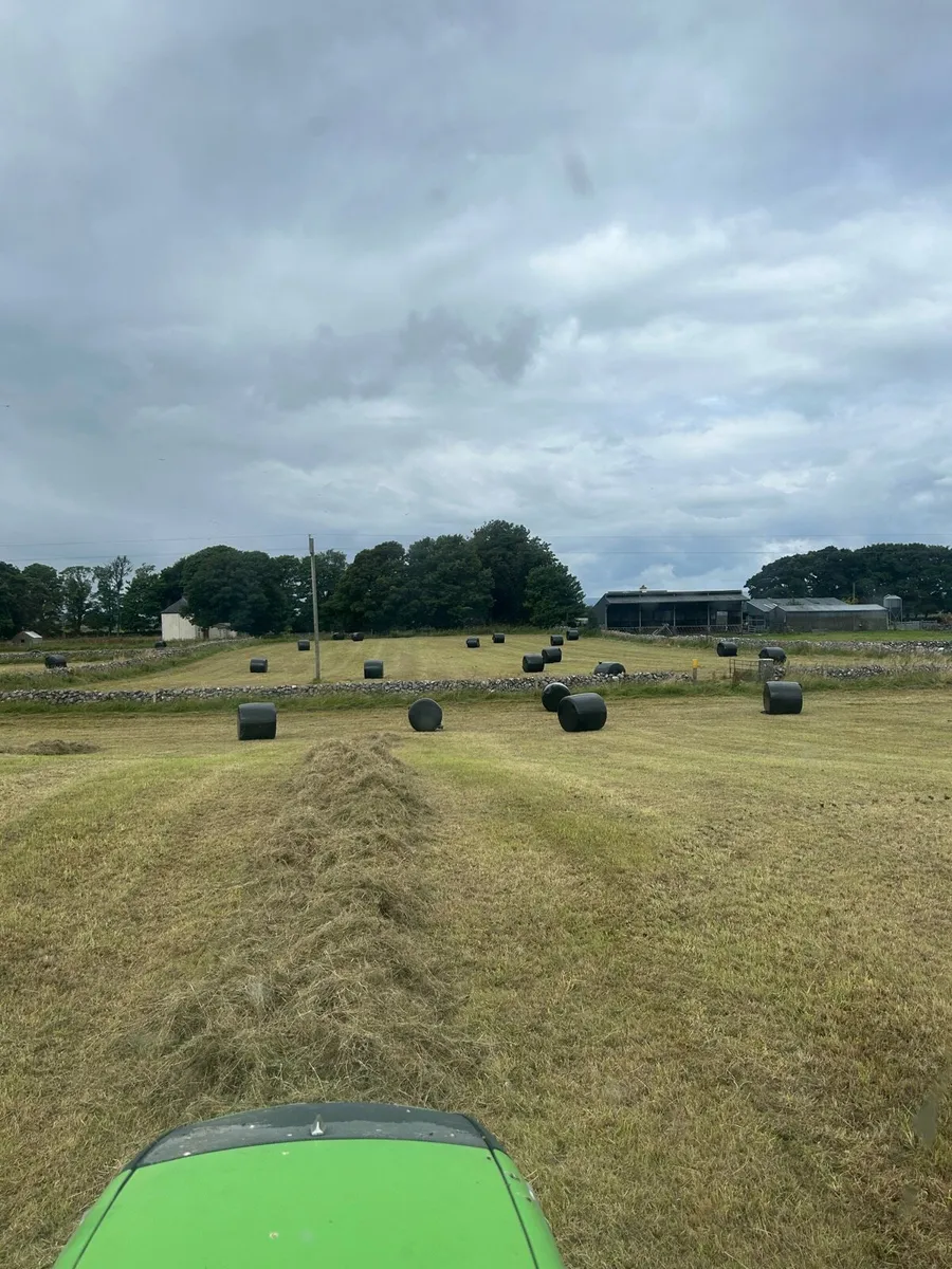 Haylage - Image 1