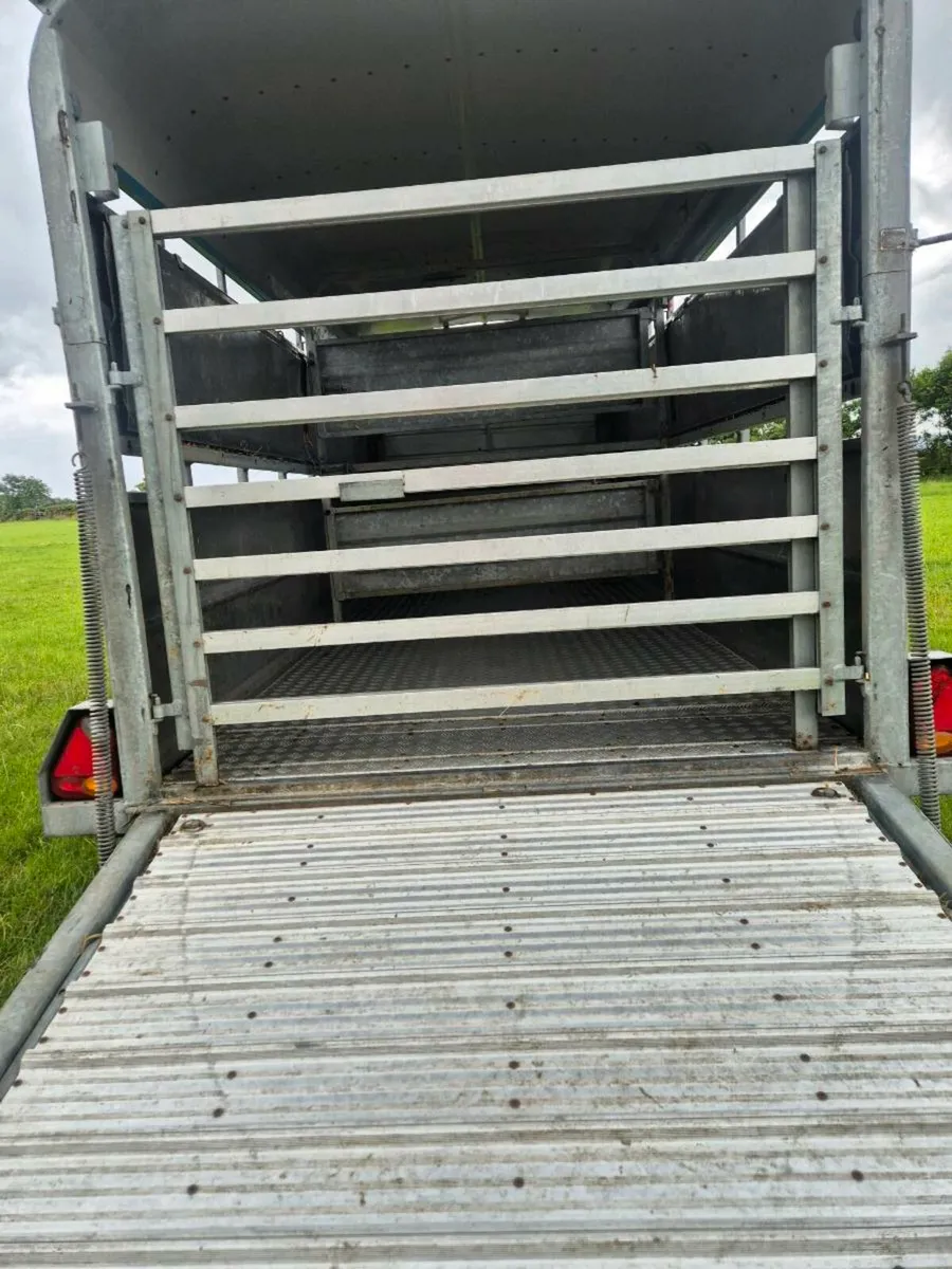 Trailer - Image 4