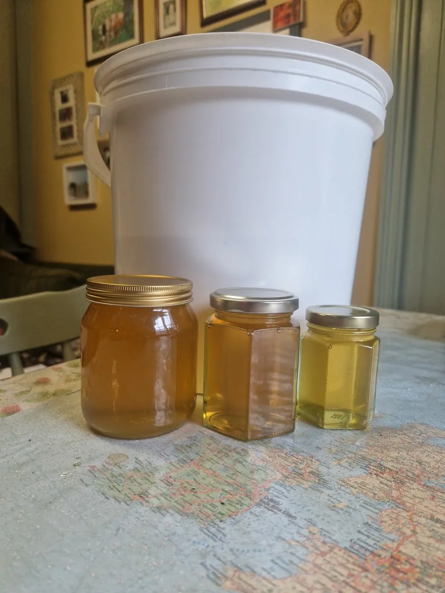 Honey