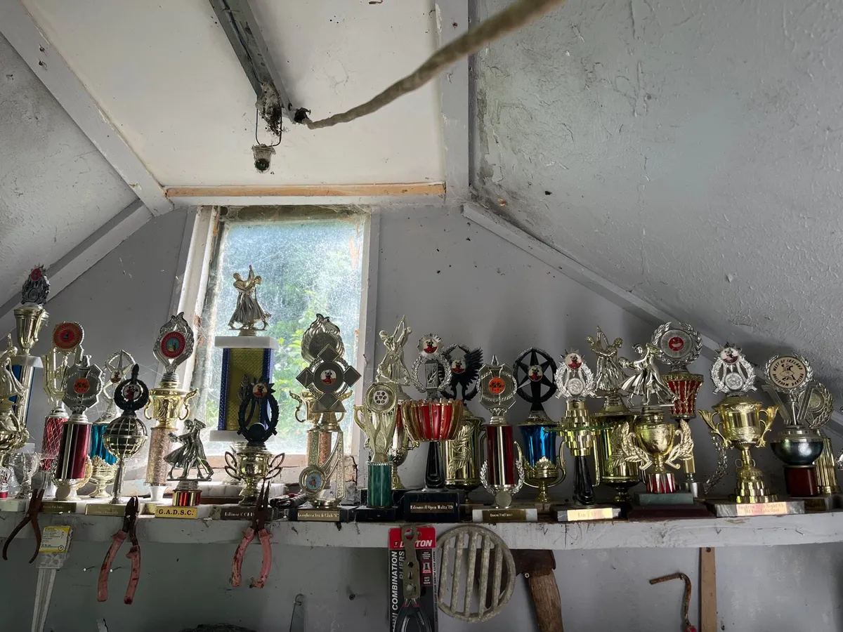 Dancing Trophies - Image 2