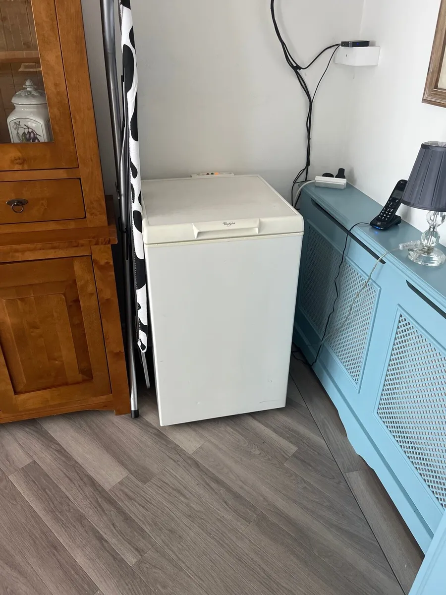 Stand alone Freezer - Image 1