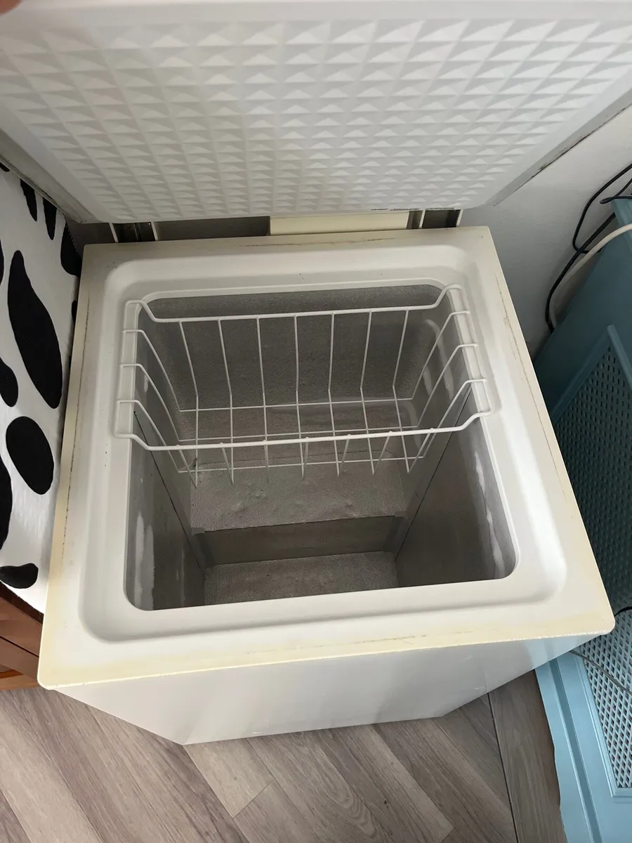 Stand alone Freezer - Image 3