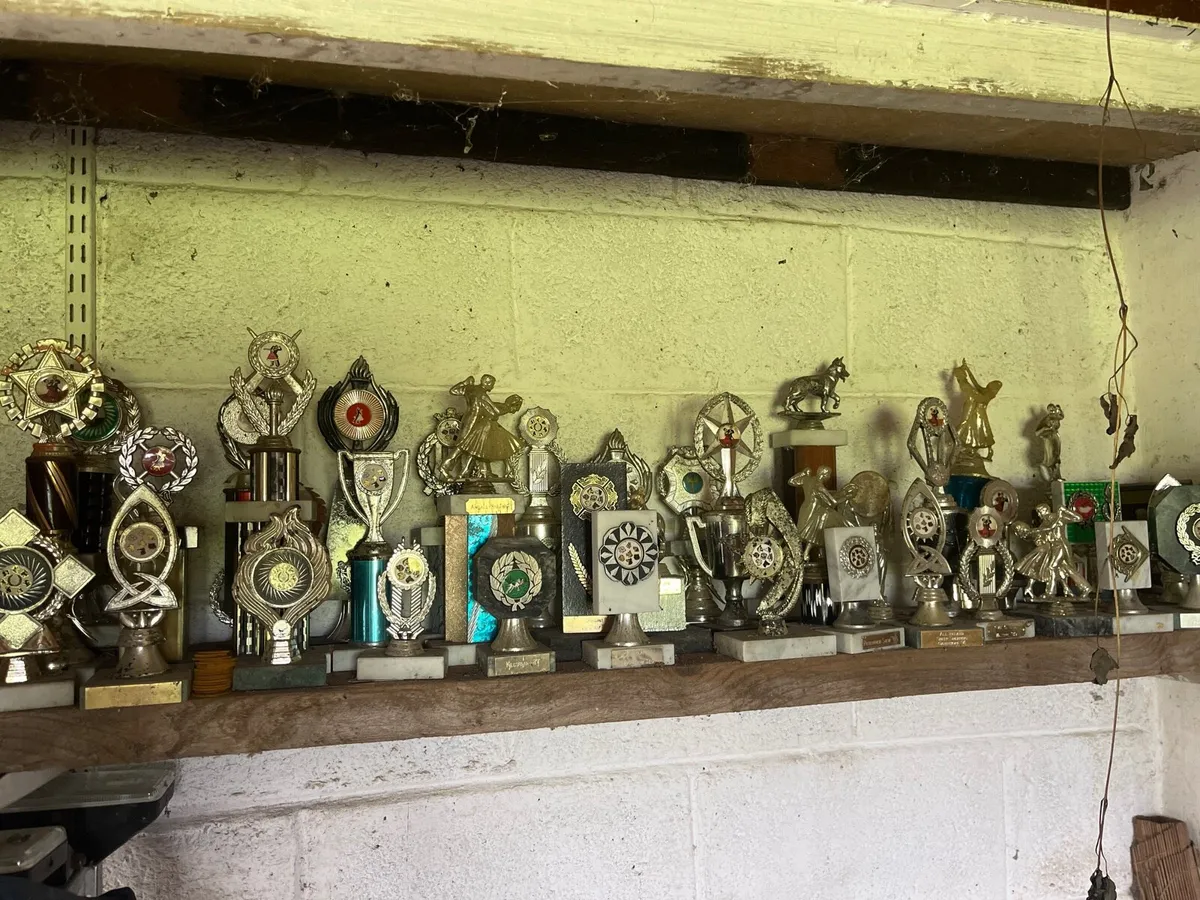Dancing Trophies - Image 4