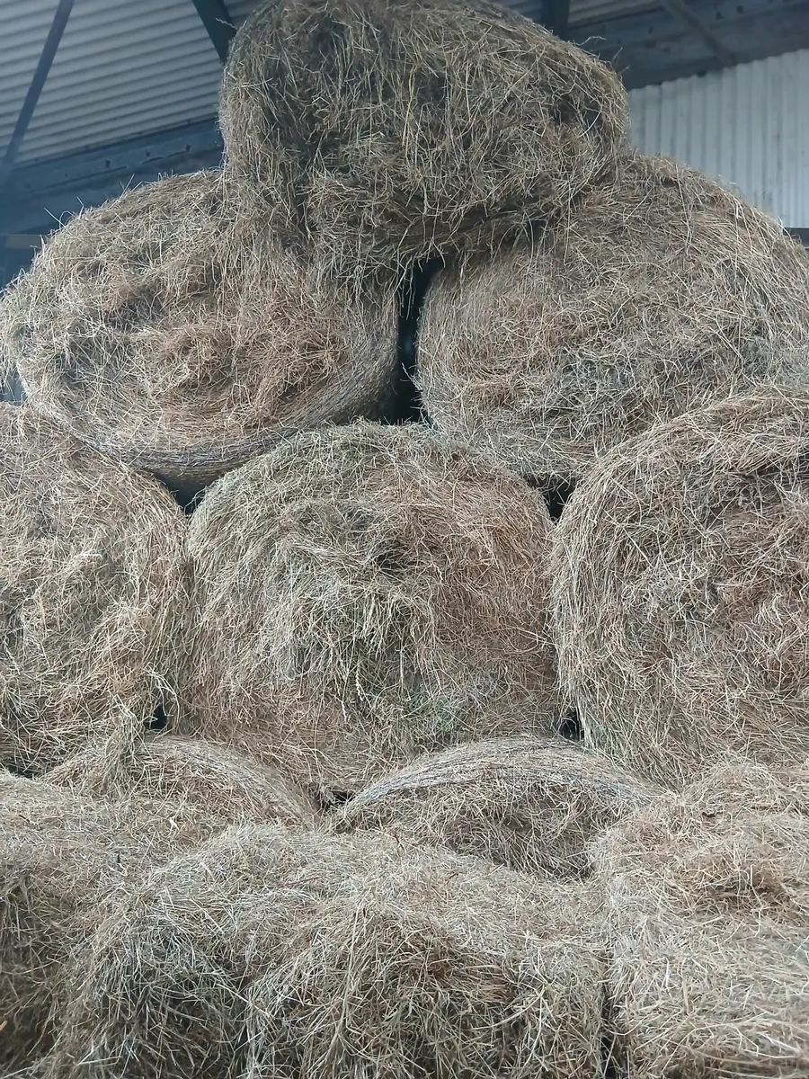 Round Bales of Hay & Small square bales of Hay - Image 2