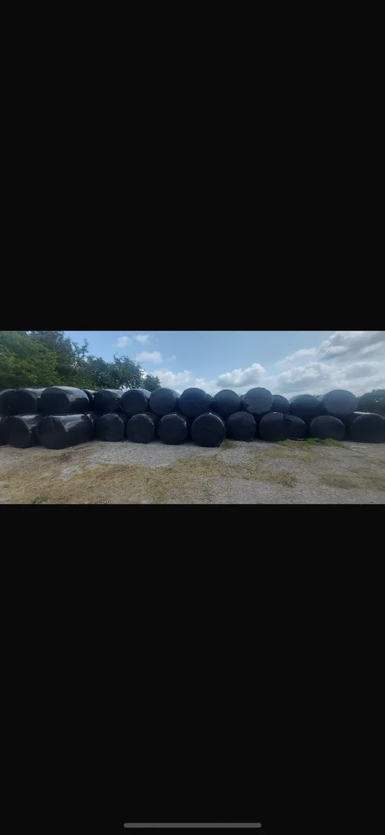 Bales - Image 1