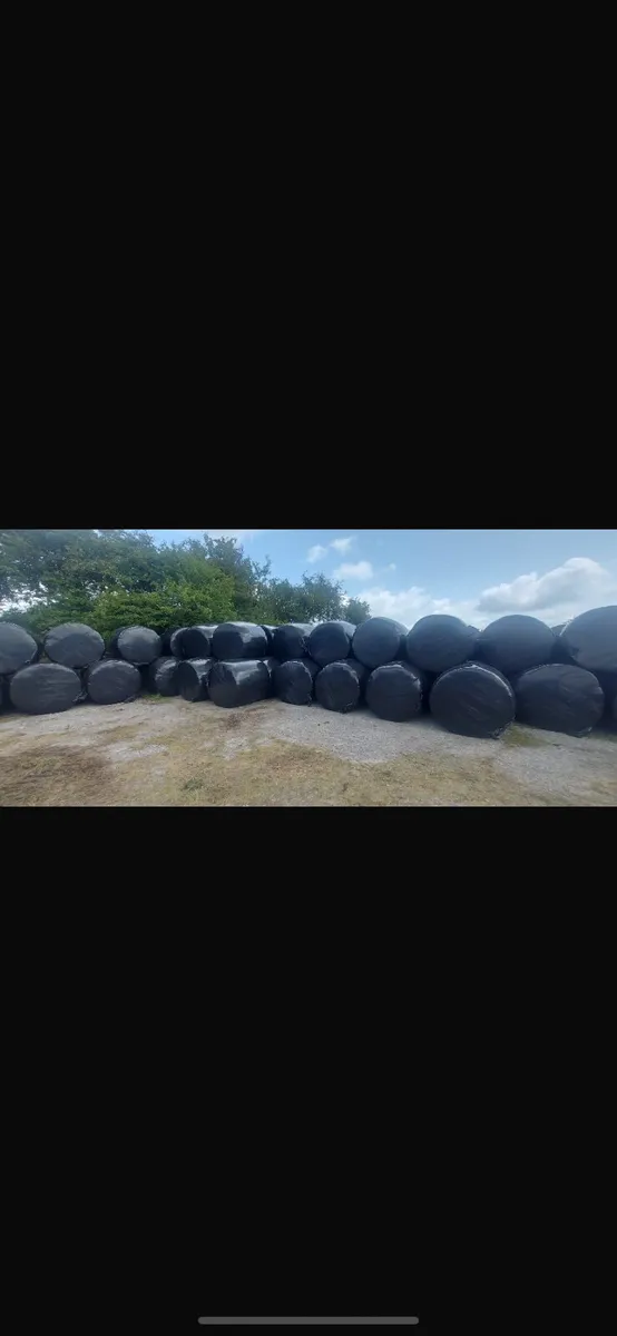 Bales - Image 2