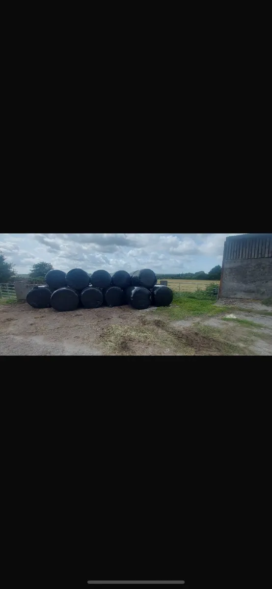 Bales - Image 3