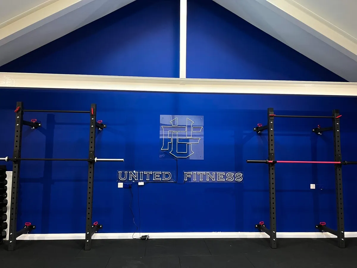 Wall mounted foldable squat rack (new in box) - Image 3