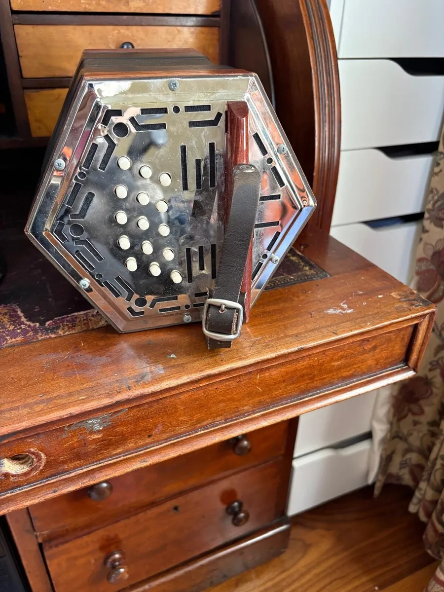 Concertina - Image 3
