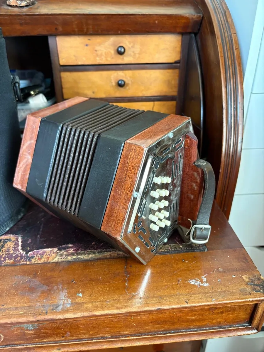 Concertina - Image 4