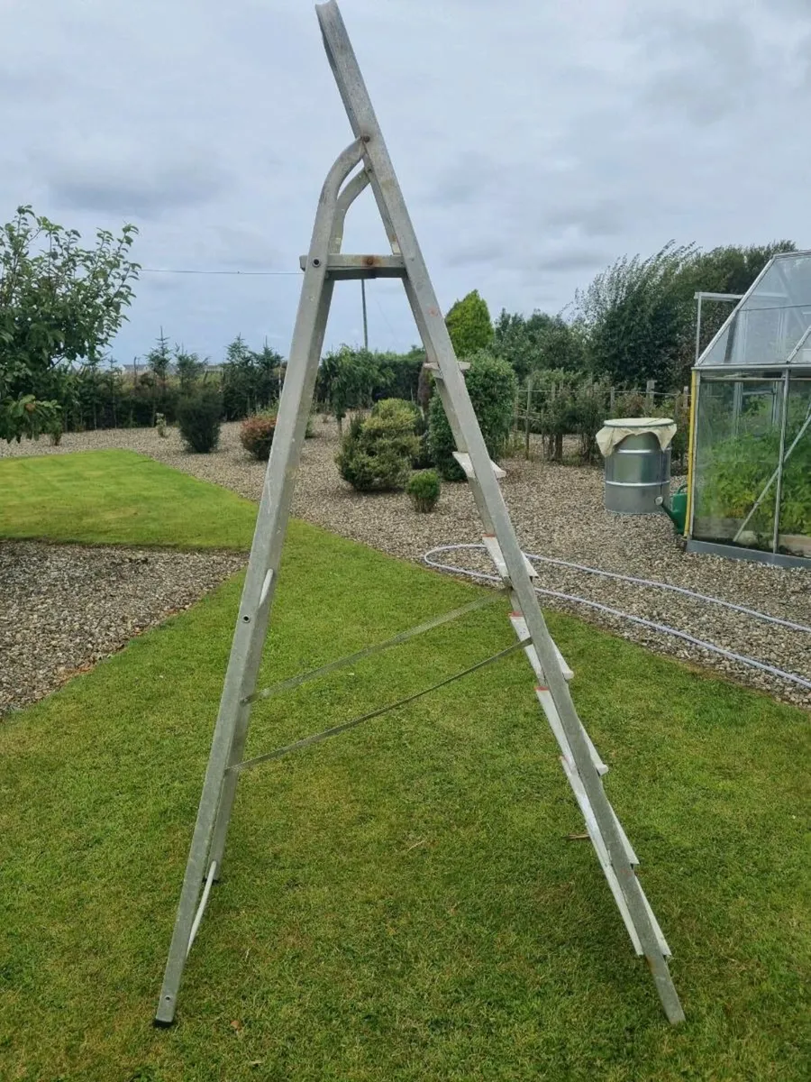 Ladder - Image 1