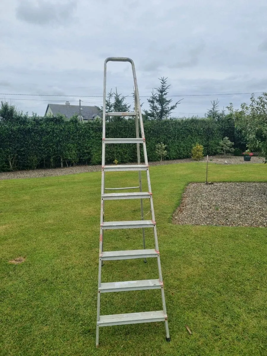 Ladder - Image 2