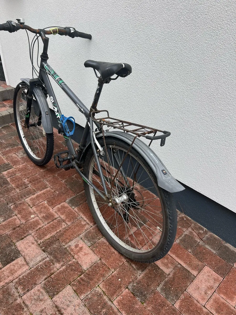Gents mountain bike - Image 1