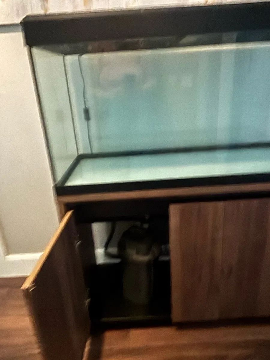 Fish tank and unit - Image 4