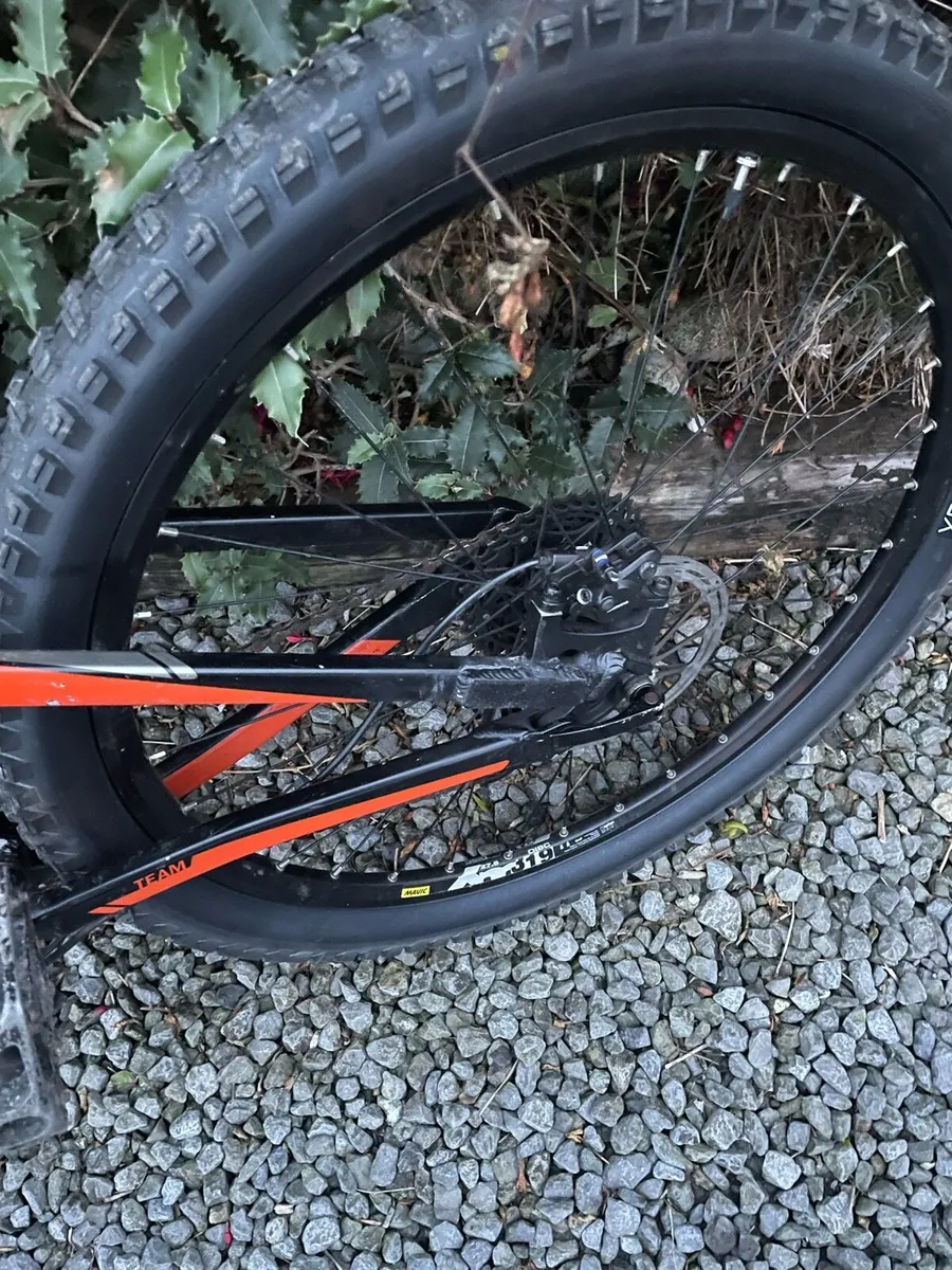 Bike - Image 3
