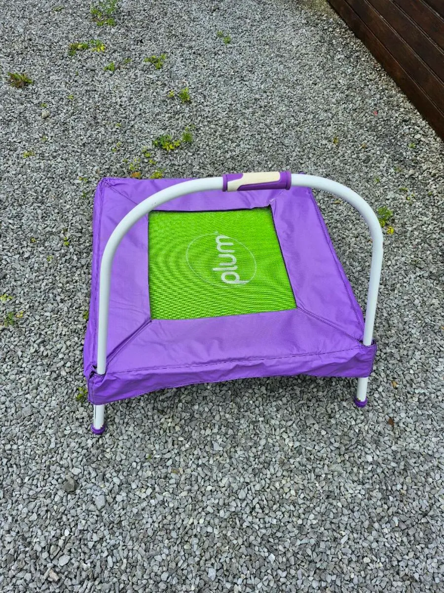 Junior Bouncer - Image 1