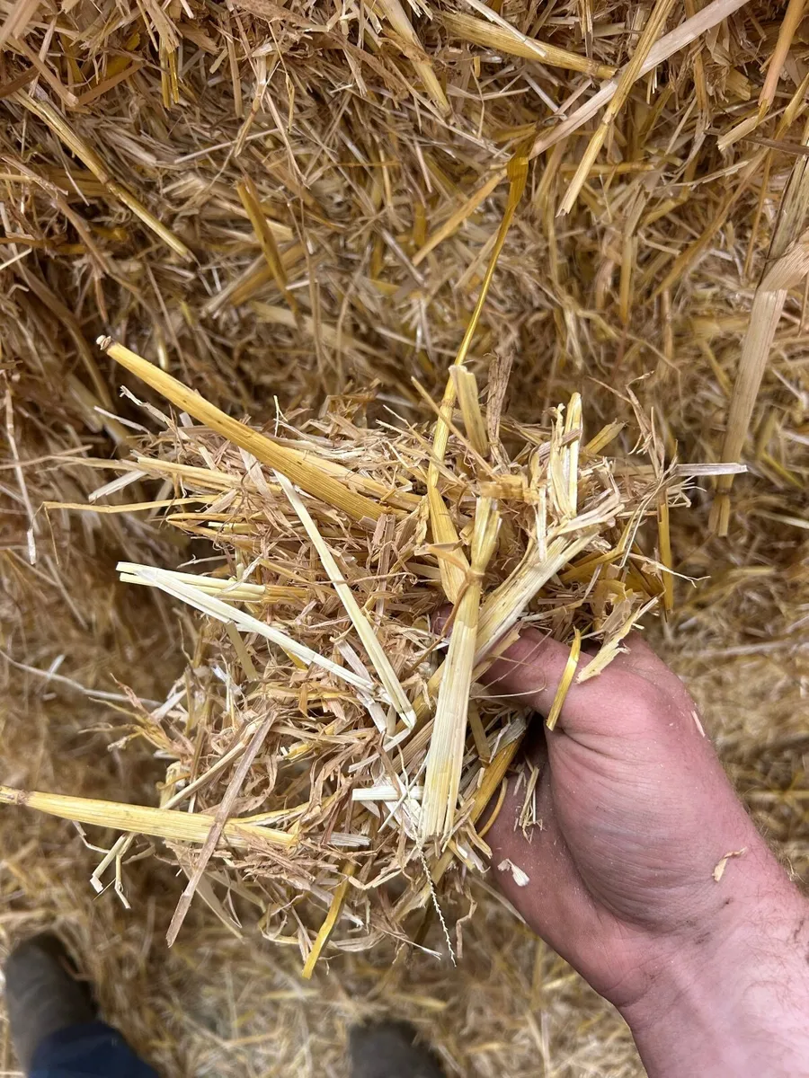 Barley straw - Image 1