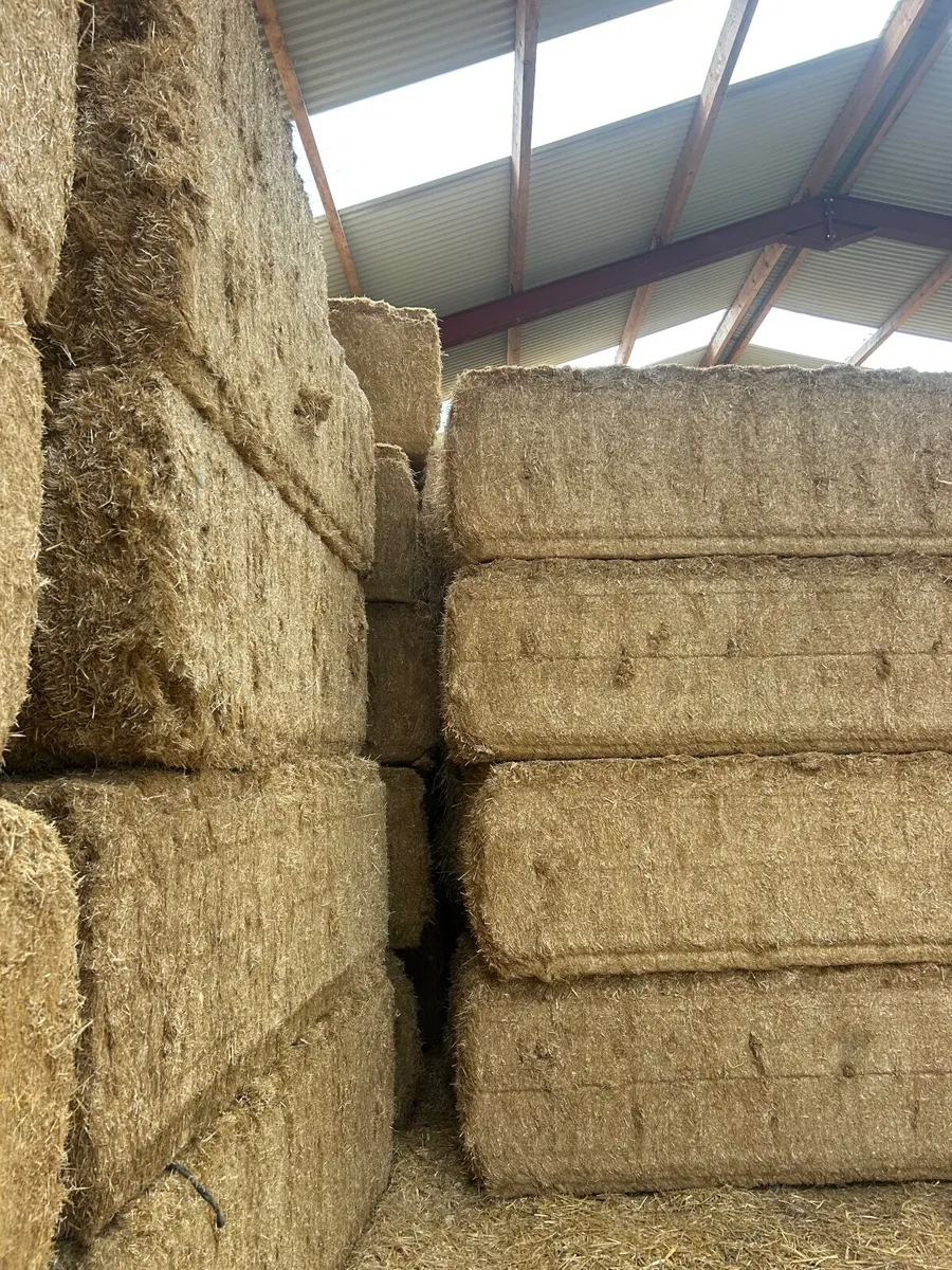 Barley straw - Image 2