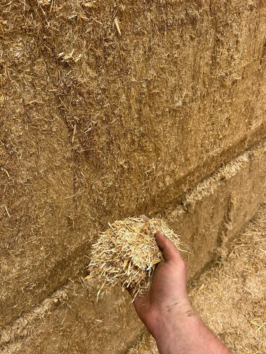 Barley straw - Image 3