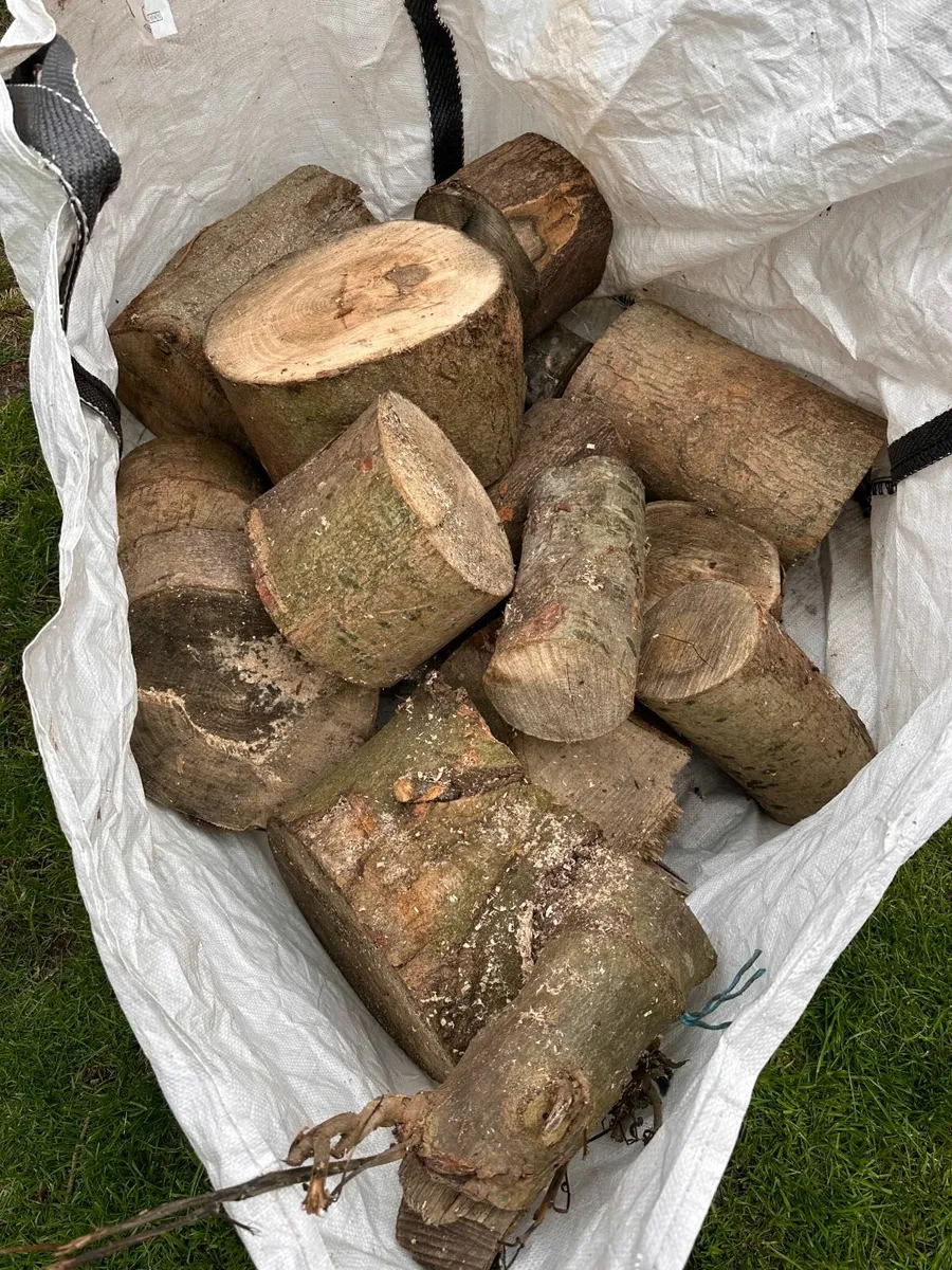Ash for firewood/furniture
